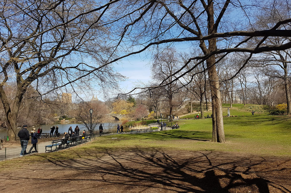 Balade dominicale à Central Park