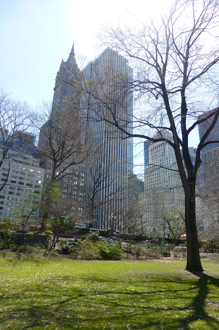 Central Park, havre de tranquillité au cœur de New York