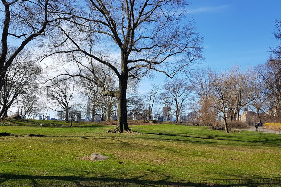 Central Park, le poumon vert de New York