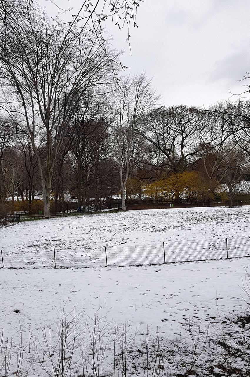 De la neige à Central Park au mois d'avril