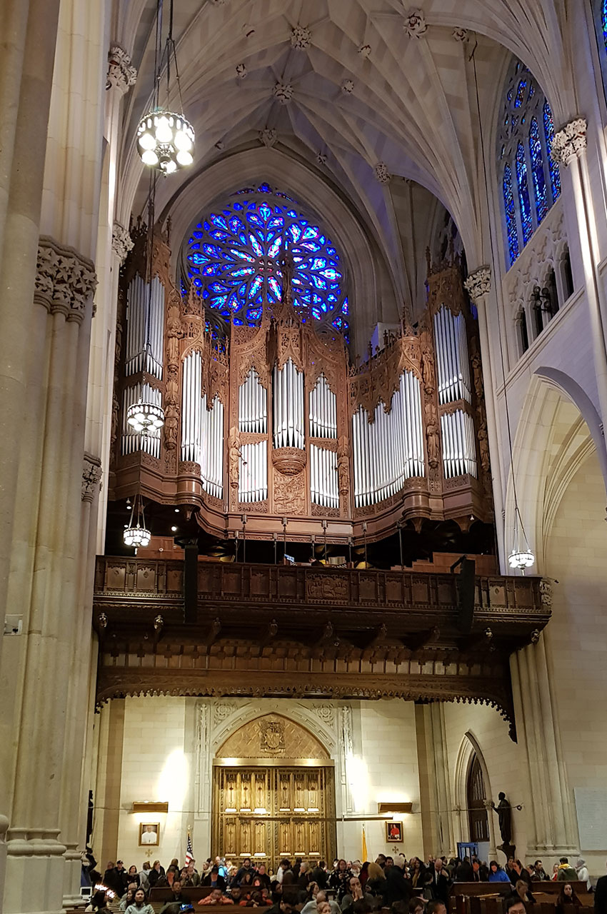 L'orgue de la cathédrale et la rosace