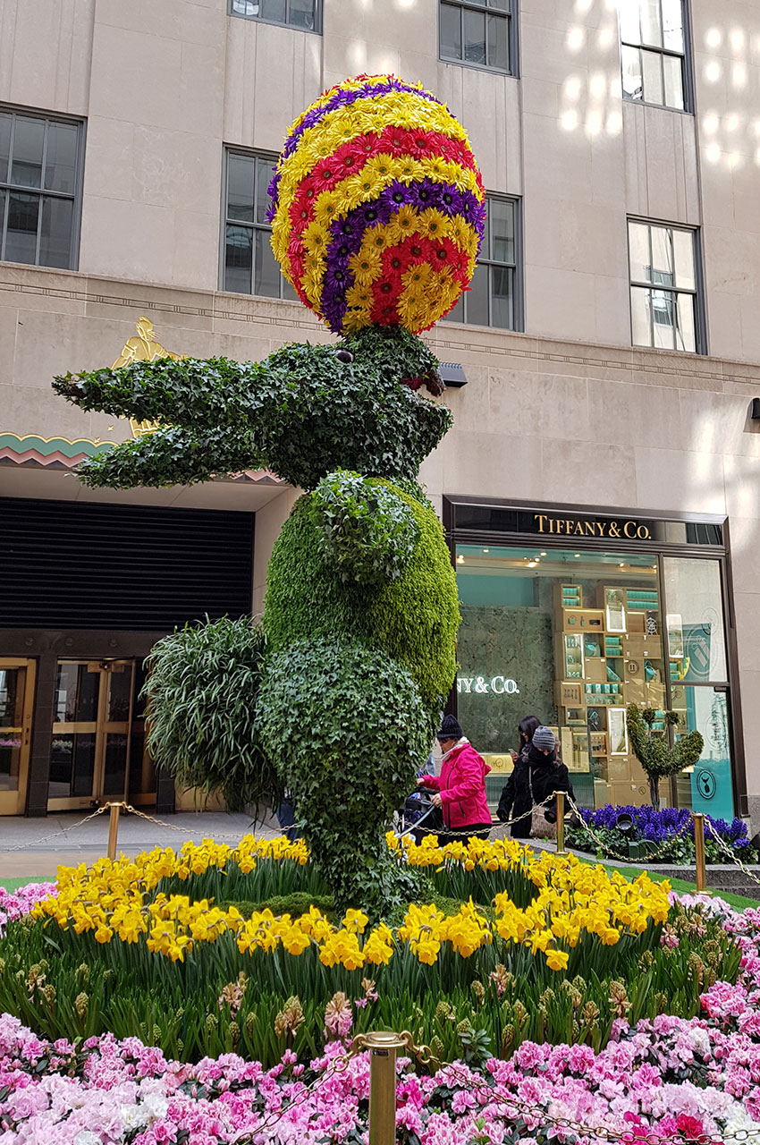 Sculptures florales et végétales