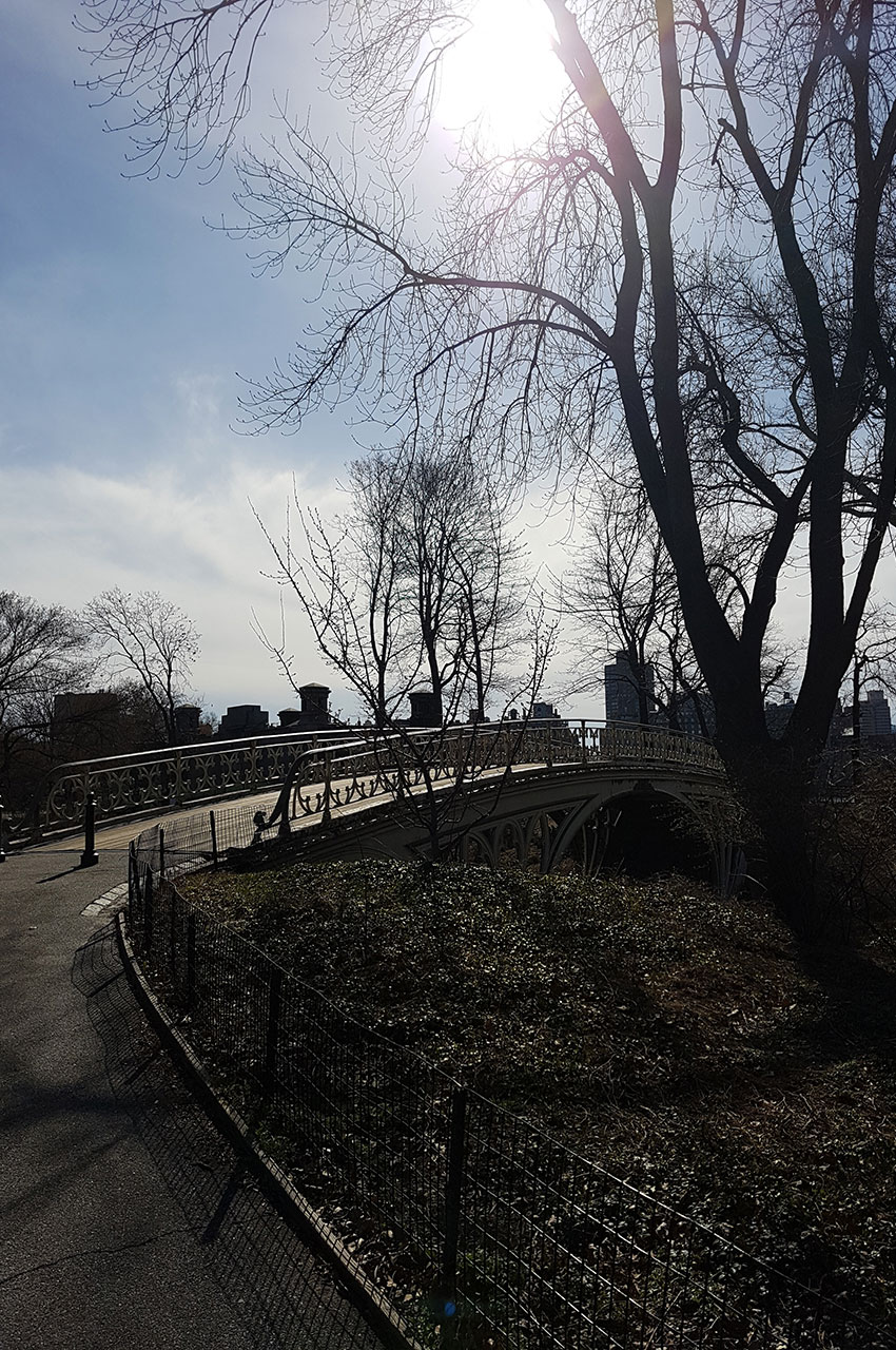 Le soleil du matin sur le Gothic Bridge