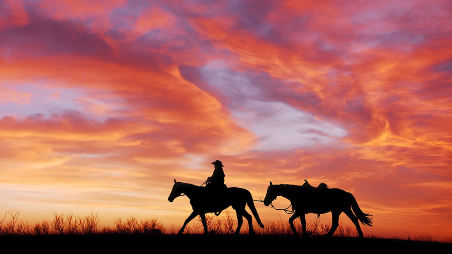 Un cowboy sur son cheval au coucher de soleil