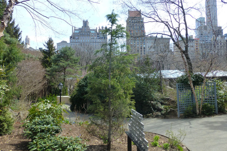 Au cœur du zoo de Central Park