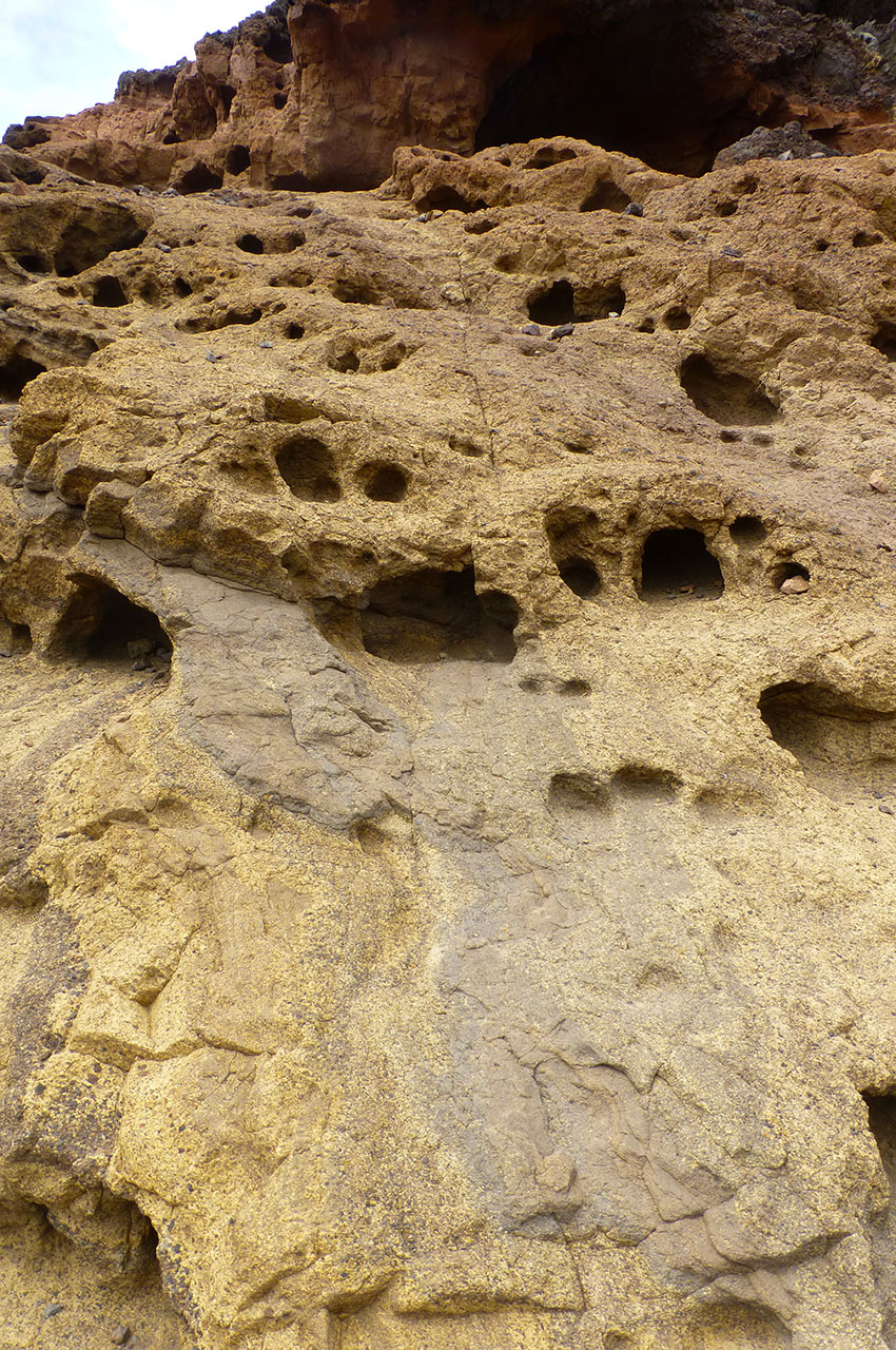 Formation de sédiments calcaires
