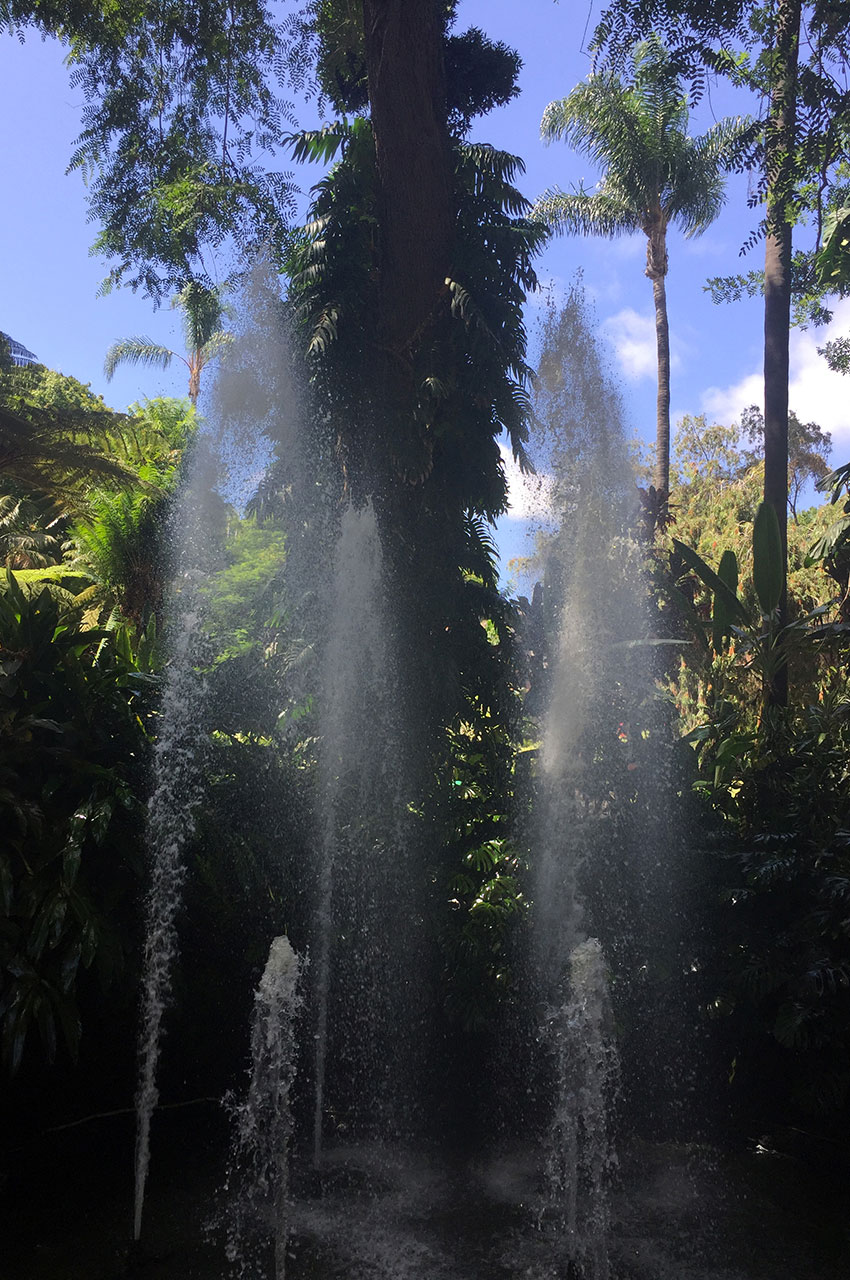 Magnifiques jets d'eau au jardin municipal