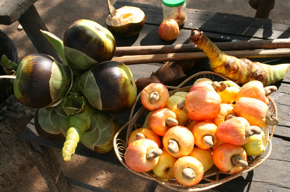 Divers fruits du Cambodge
