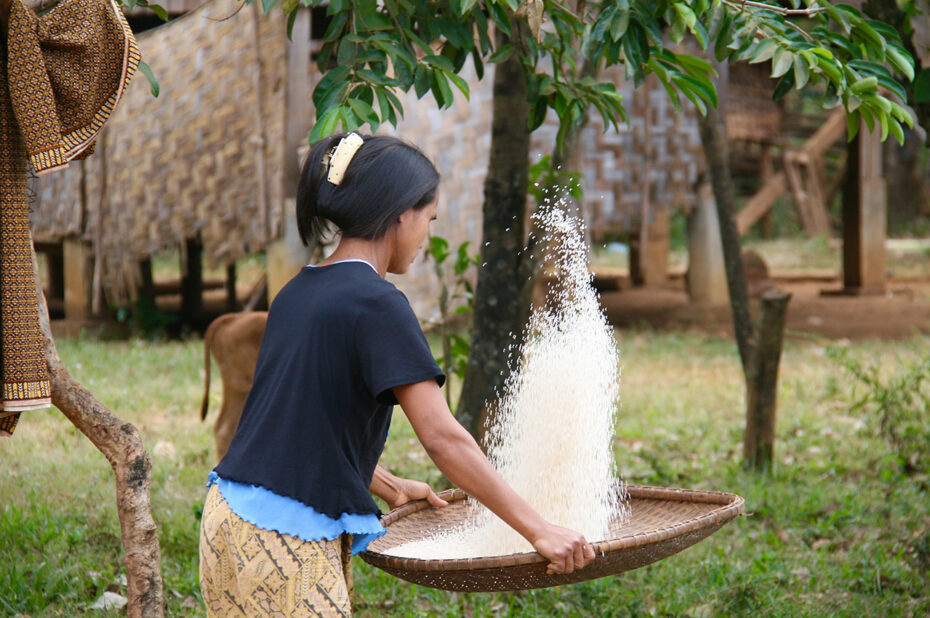 Jeune femme tamisant le riz dans la province du Ratanakiri