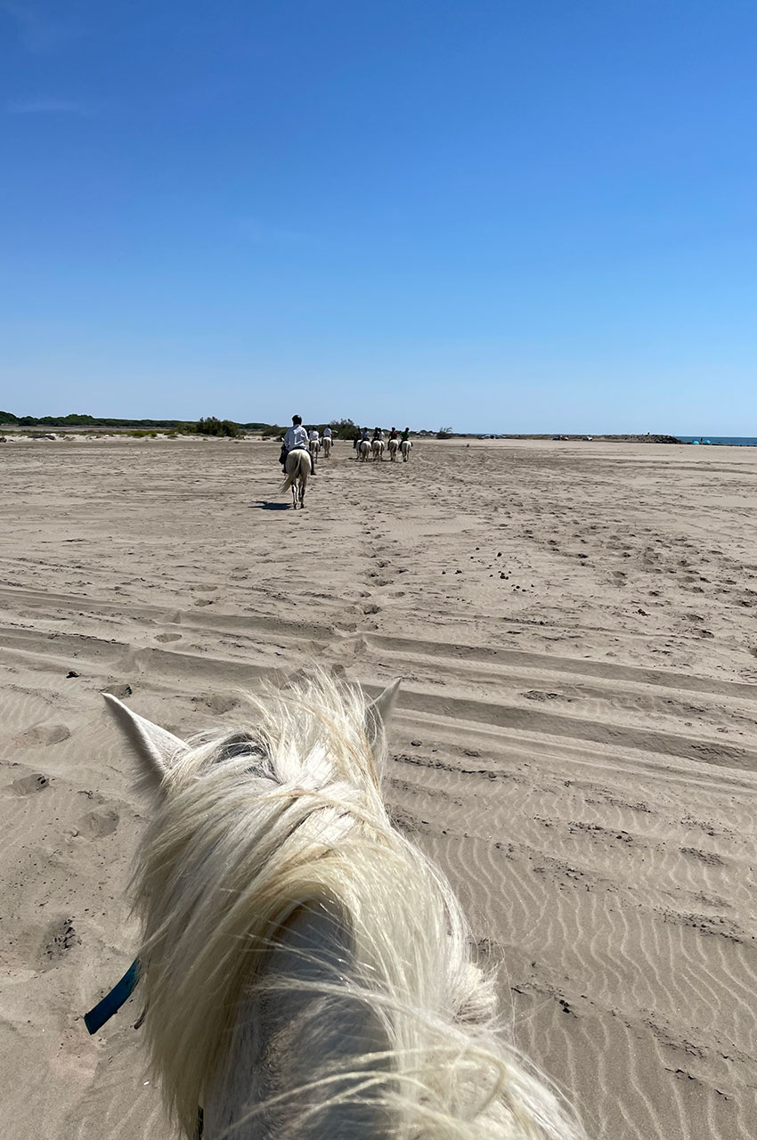 À cheval sur la plage des Saintes-Maries de la Mer