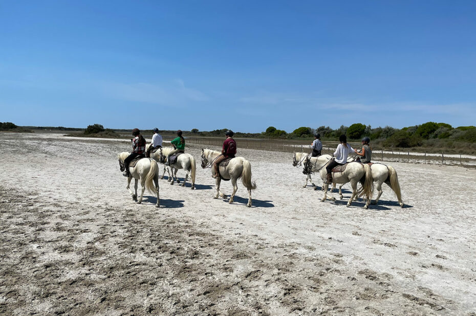 Groupe de cavaliers faisant la randonnée en Camargue
