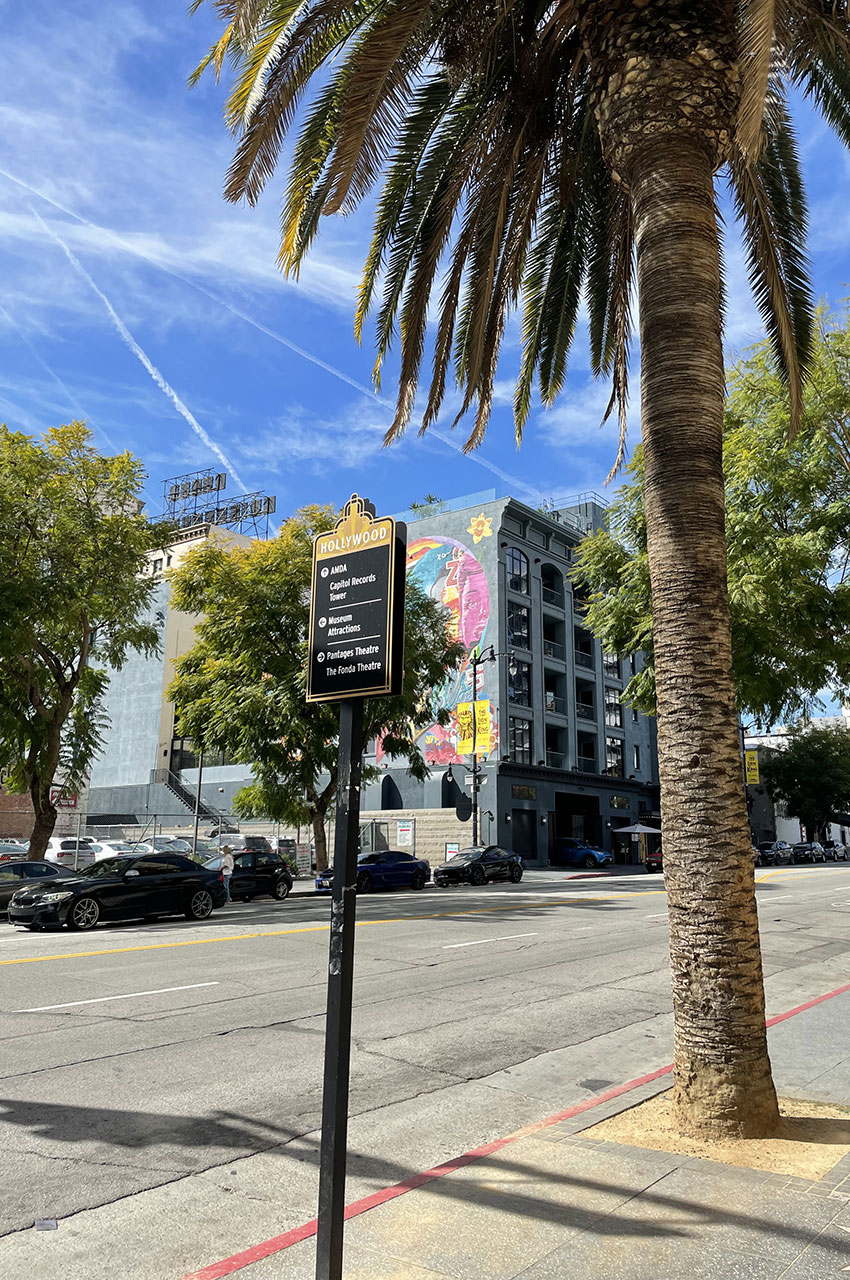 Palmier bordant Hollywood Boulevard
