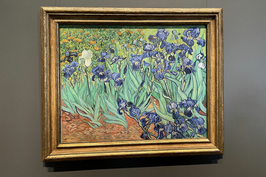 Iris, par Vincent Van Gogh