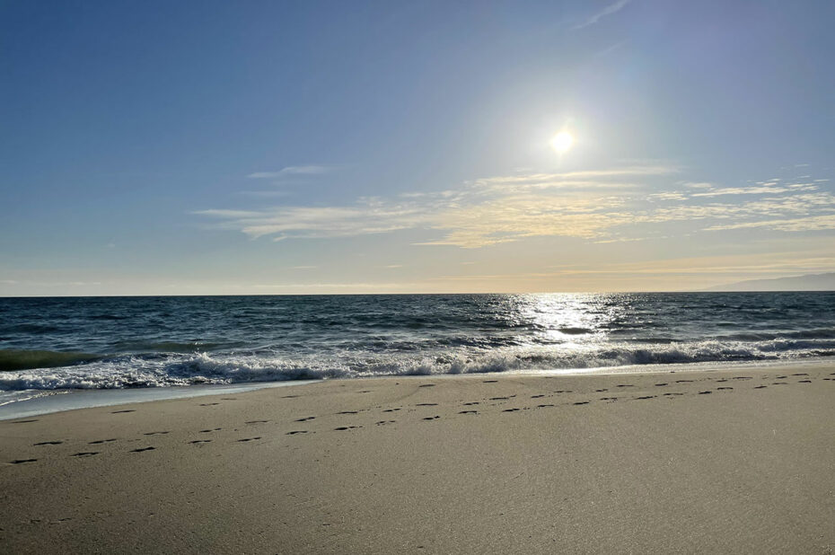 Le soleil californien brille sur la plage de Santa Monica