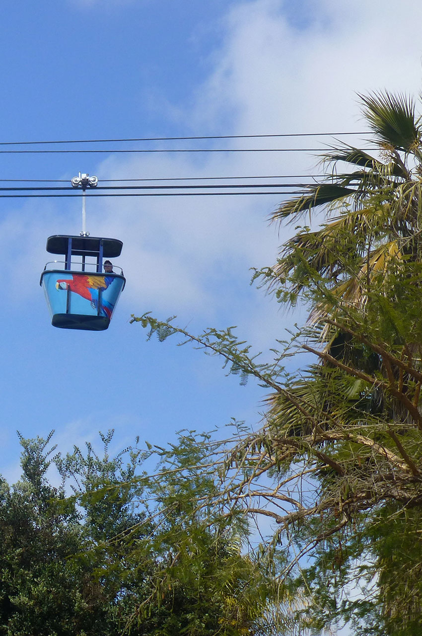 Téléphérique qui survole le zoo de San Diego