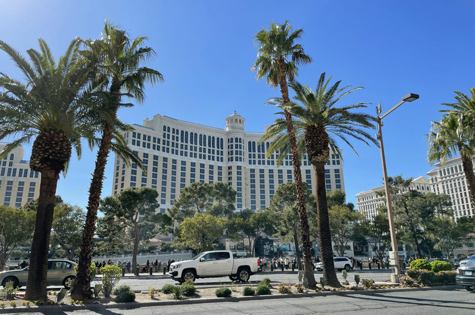Le Strip (Las Vegas Boulevard) et ses palmiers devant le Bellagio