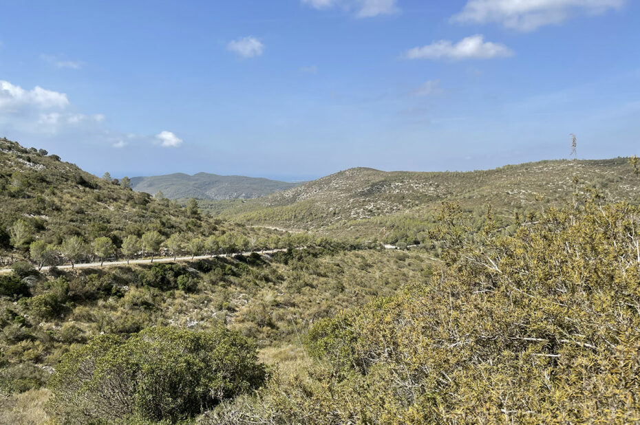 La route sinueuse qui traverse le parc naturel du Garraf