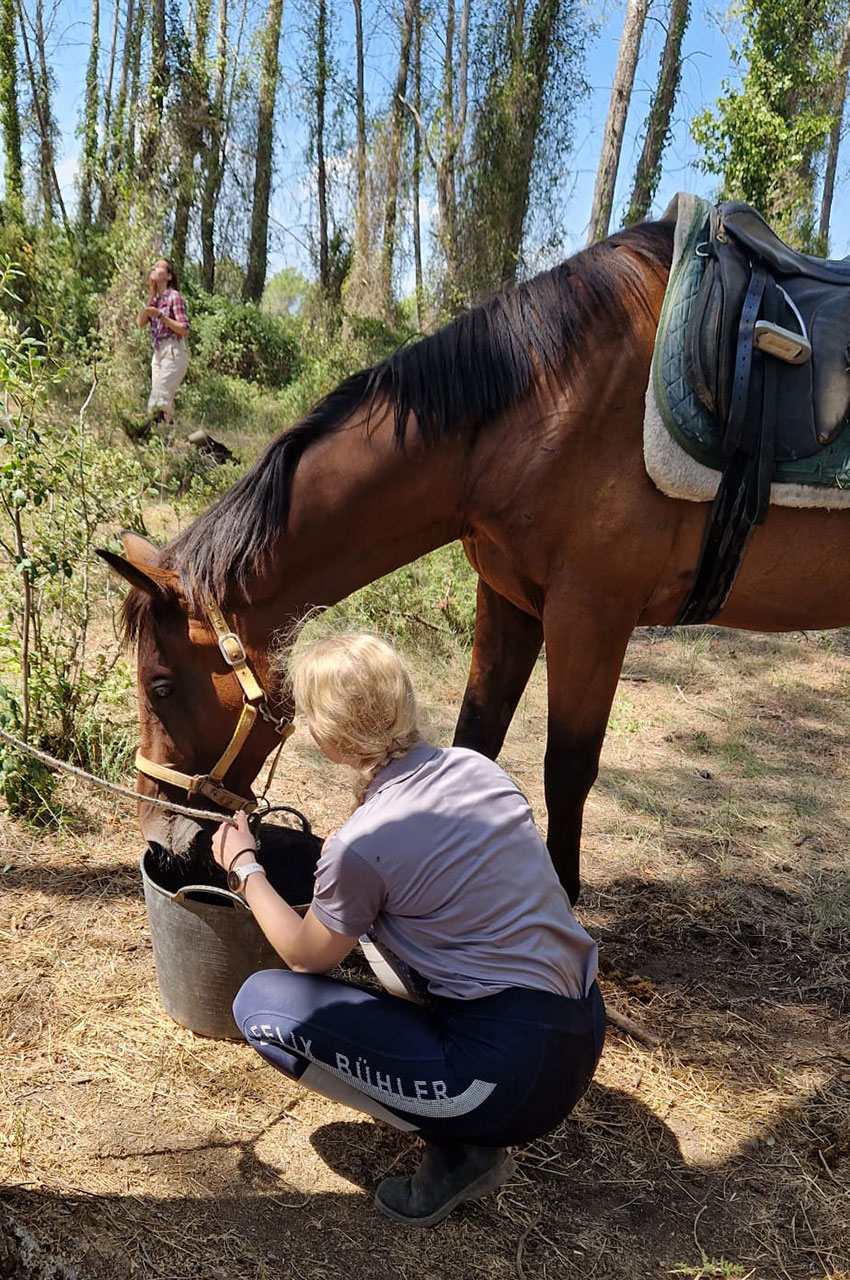 On abreuve les chevaux après de longues heures au soleil