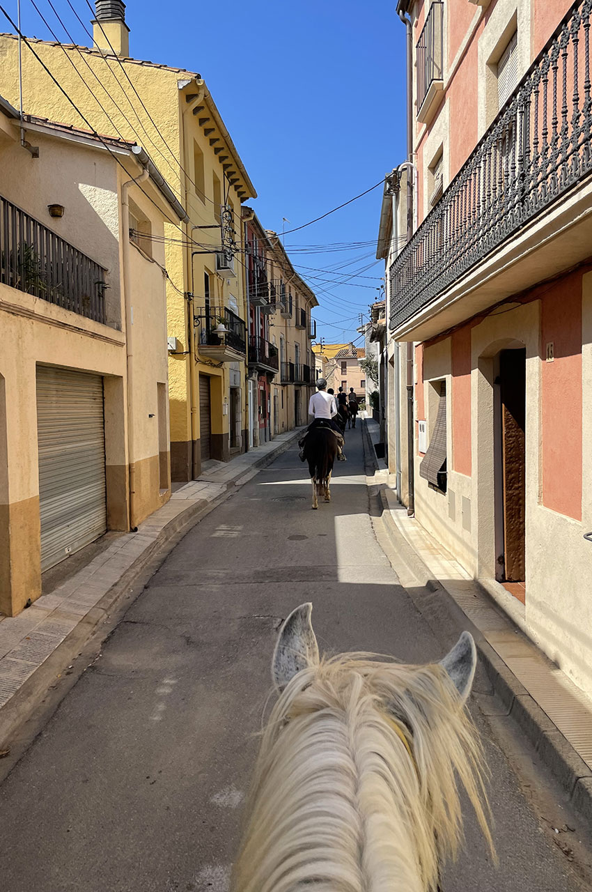 Les chevaux attirent les regards lors de la traversée des villages