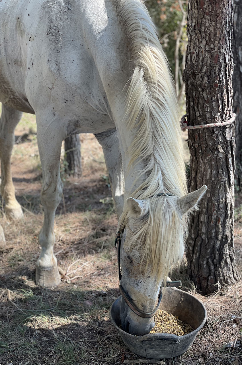 Curro, lors de la pause méritée de mi-journée