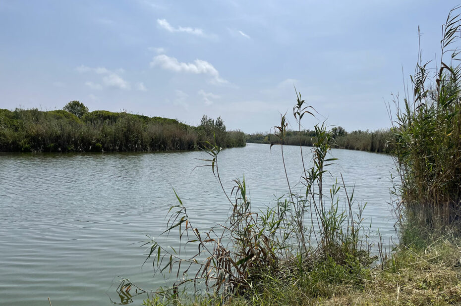 Le fleuve Llobregat se jette dans la mer Méditerranée en un vaste delta de 100 km2