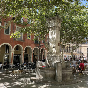 Fontaine sur la plaça Sant Joan