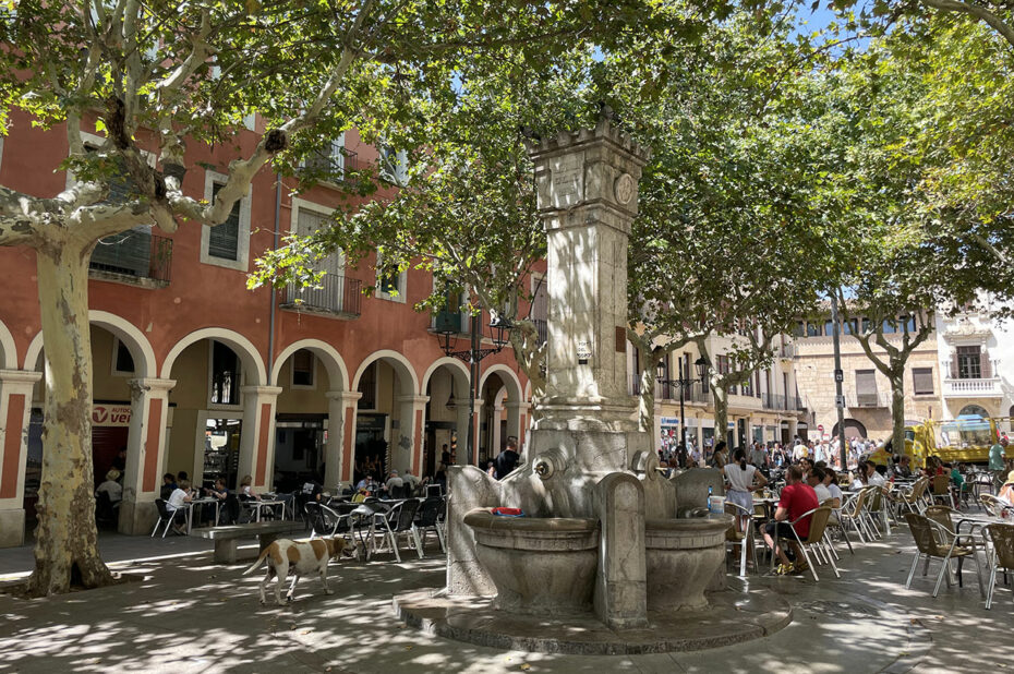 Fontaine sur la plaça Sant Joan