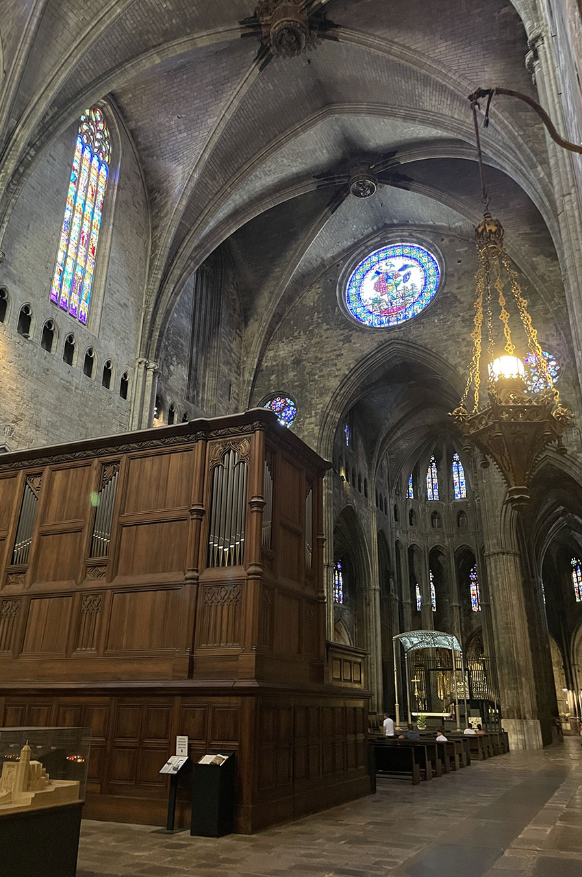 L'orgue et la voûte de la cathédrale
