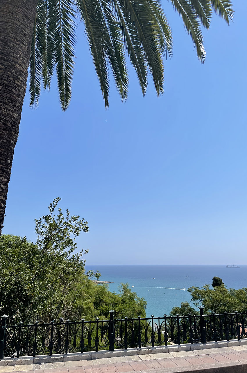 Un palmier et la vue sur la mer Méditerranée