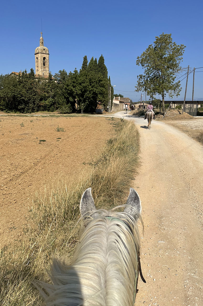 Au pas pour se reposer après un beau galop