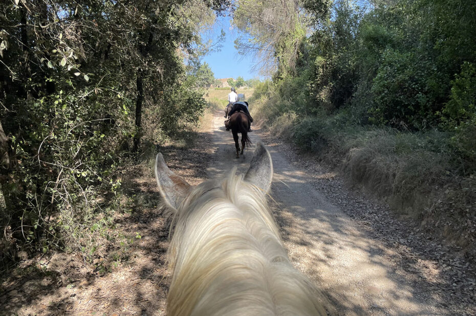 Premier jour à cheval, entre soleil et ombre