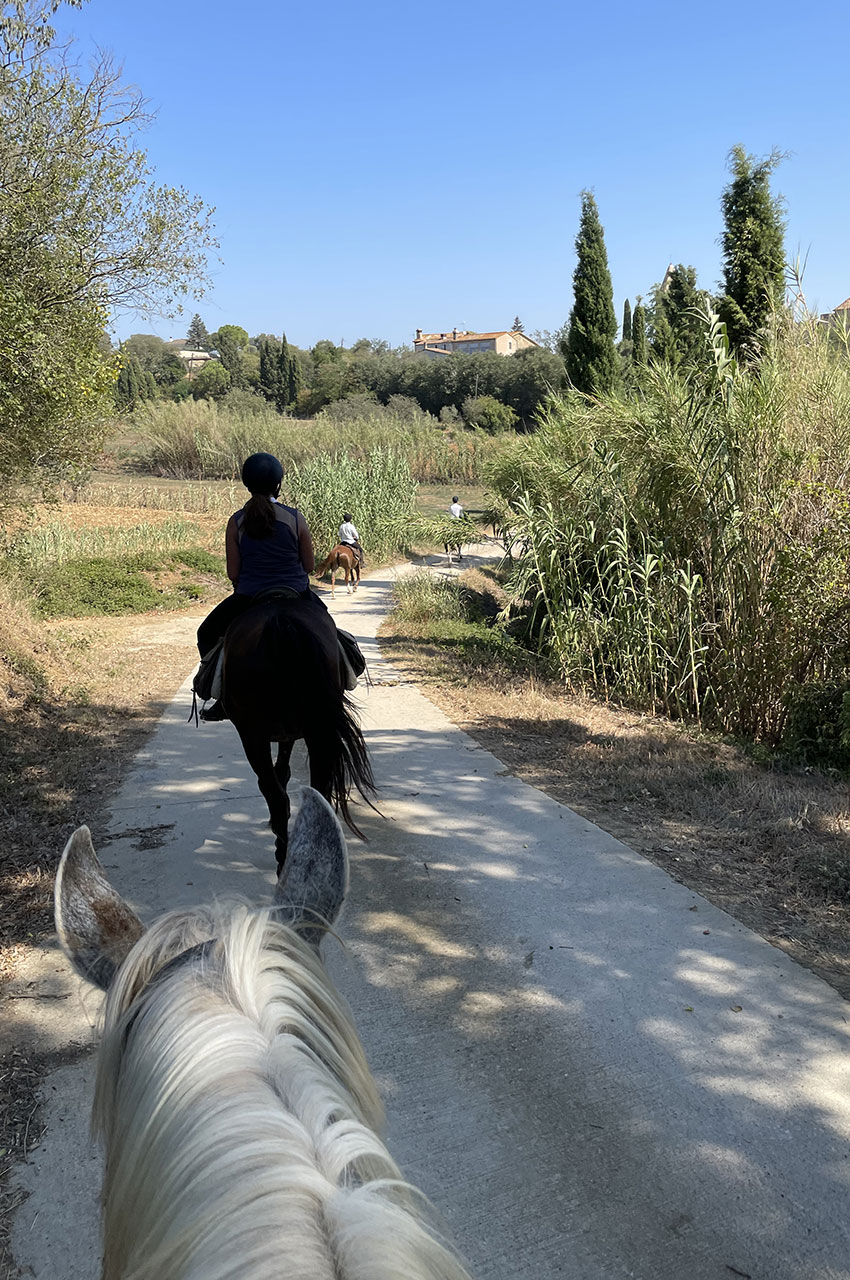 Au rythme lent du pas des chevaux