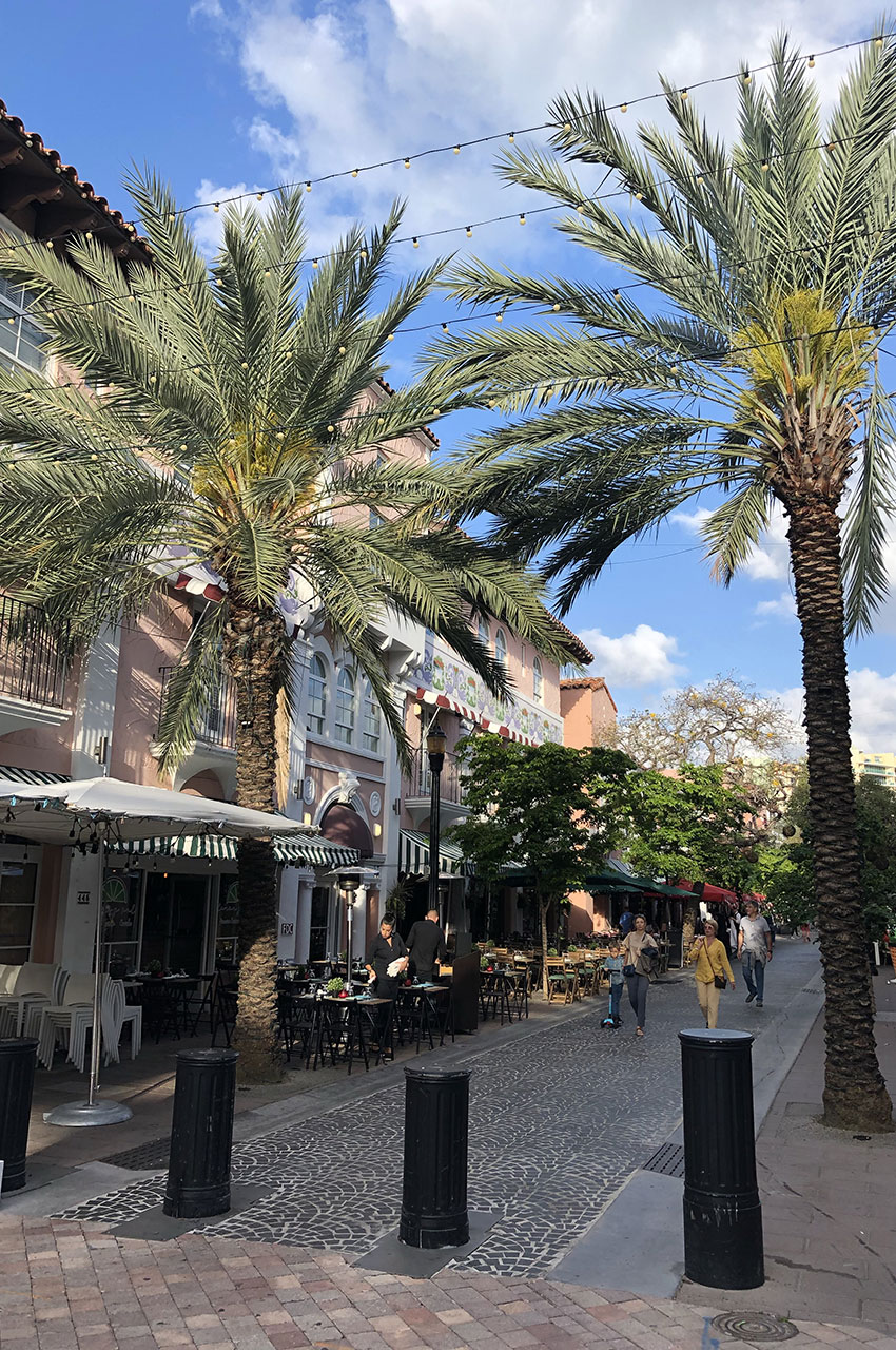 Rue piétonne bordée de palmiers