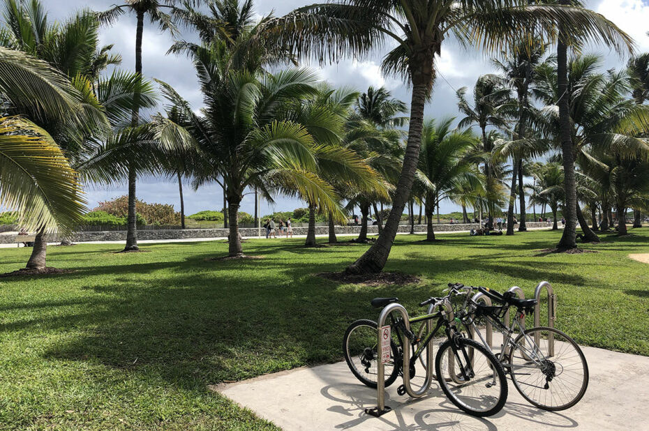 Des vélos attachés à l'entrée de Lummus Park