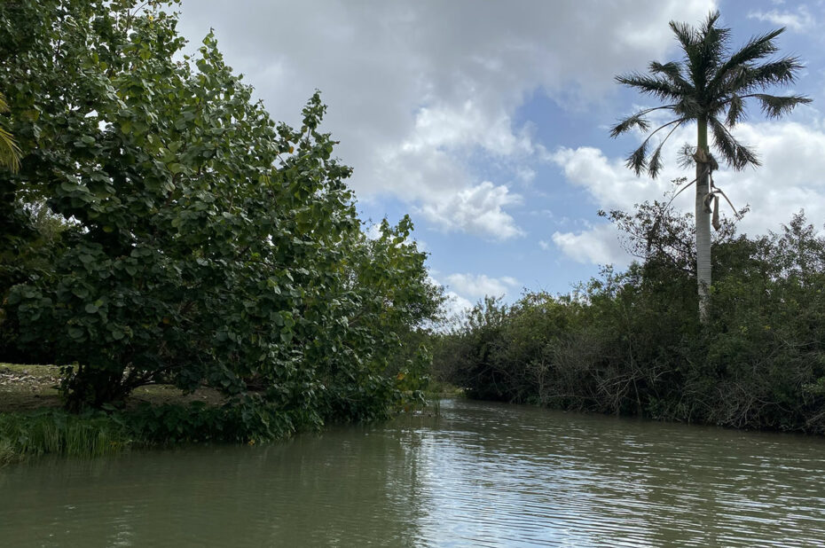 Tour d'airboat dans les marécages des Everglades