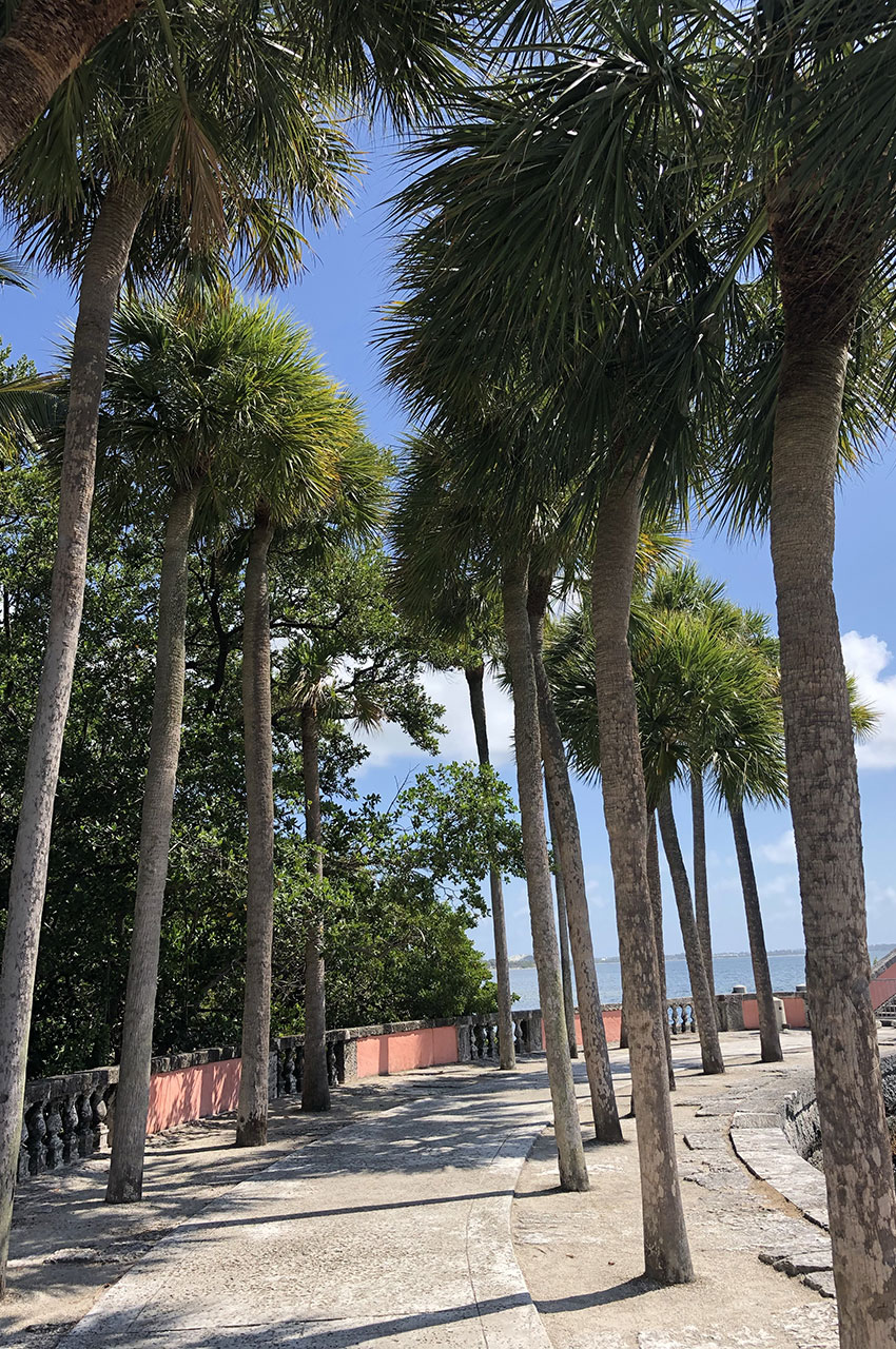 Allée avec des palmiers non loin du débarcadère