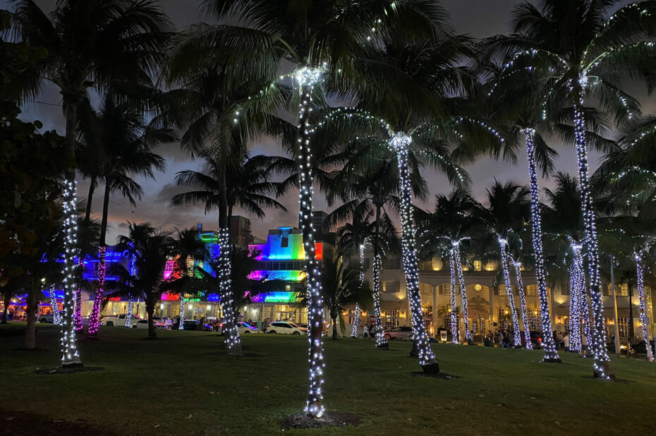 Les palmiers du Lummus Park sont recouverts de leds