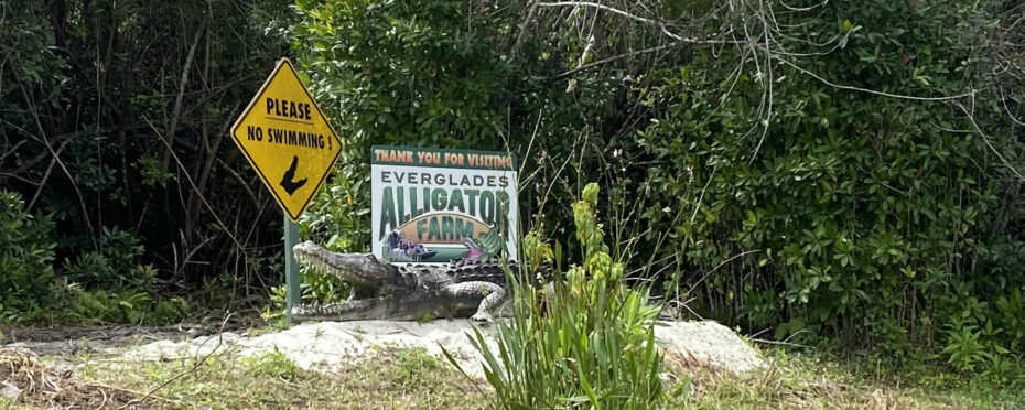 Panneau Alligator Farm au bord de l'eau