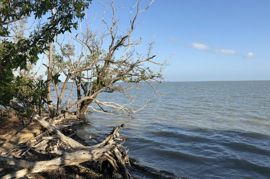 Au bord de West Lake, tout au sud du parc des Everglades