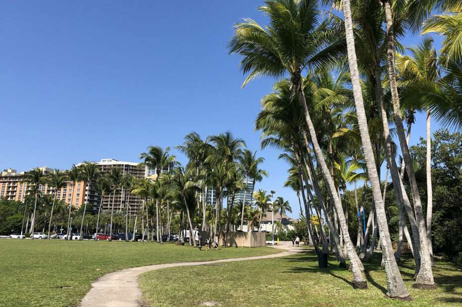 Chemin piéton qui serpente dans un parc urbain à Coconut Grove