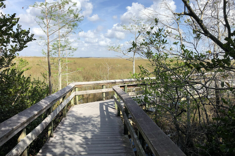 Des espaces aménagés pour découvrir les paysages des Everglades