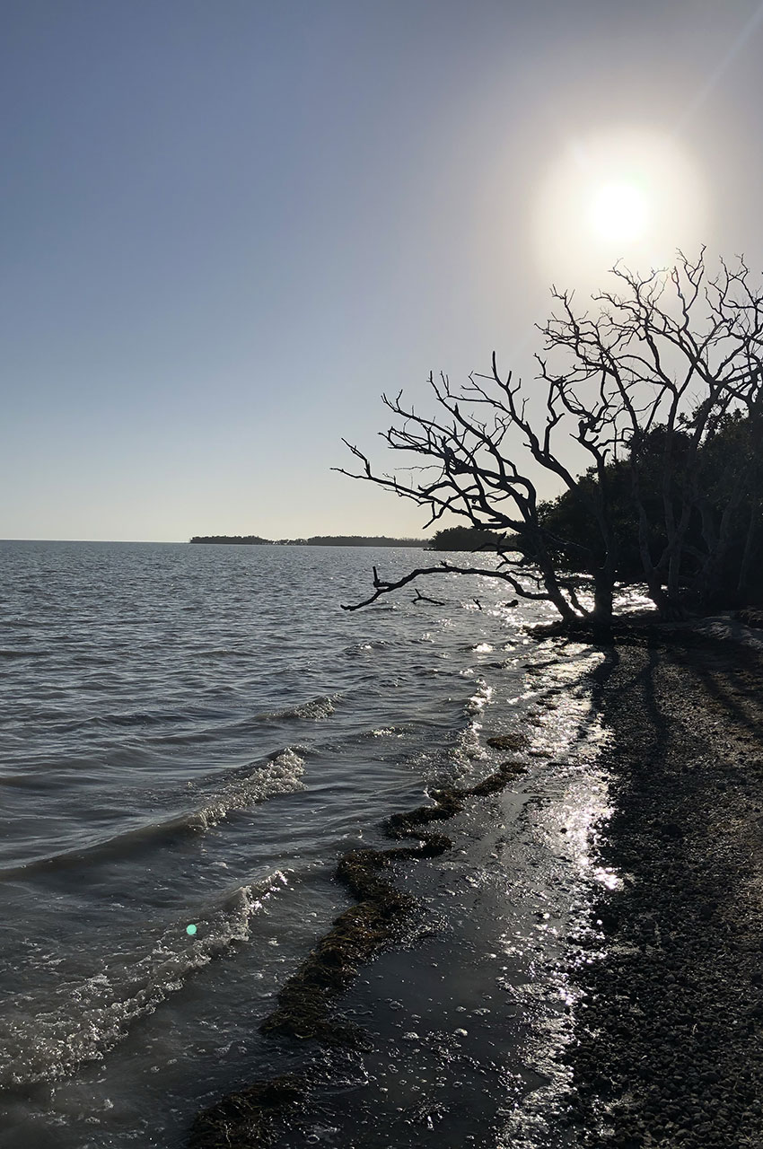 Soleil de fin de journée sur les bord de West Lake