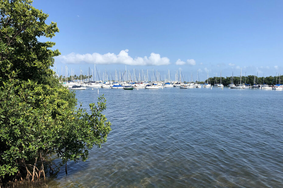 Vue sur la baie et les bateaux de plaisance depuis The Barnacle