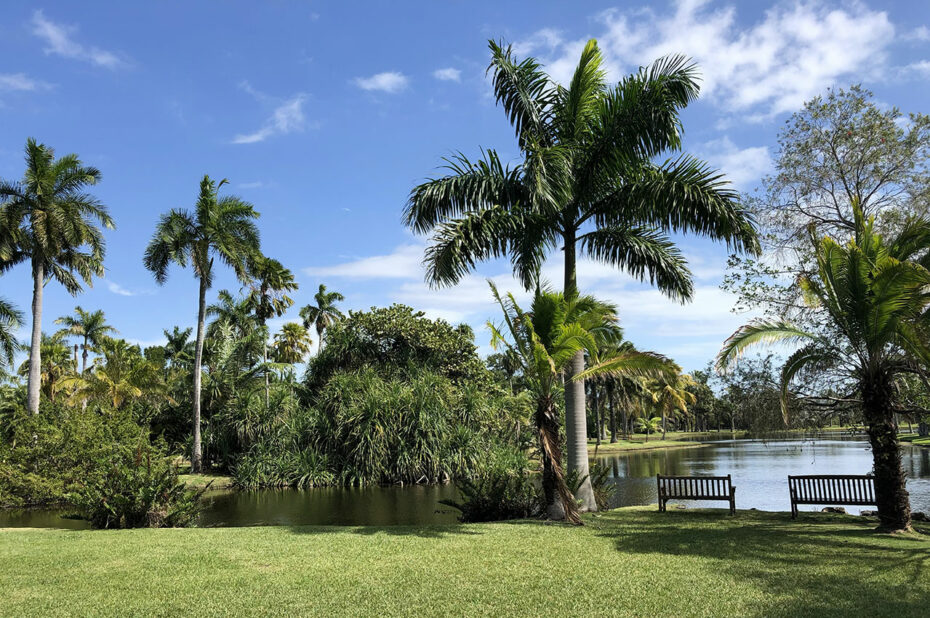 Bancs pour profiter de la tranquillité du parc au bord de l'eau