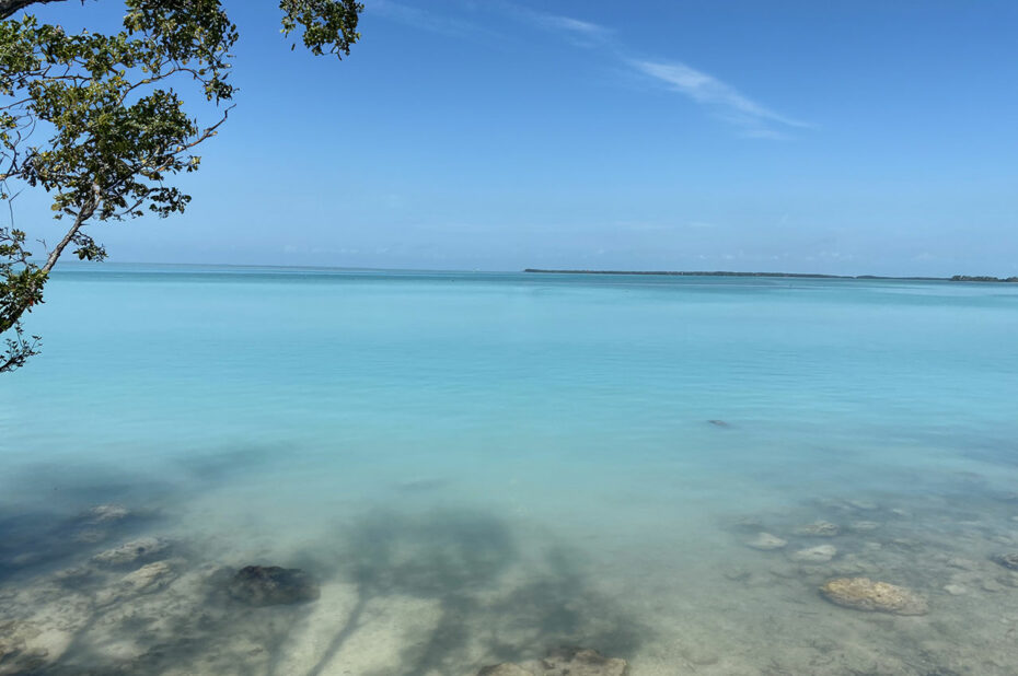 Une eau bleu turquoise qui fait rêver