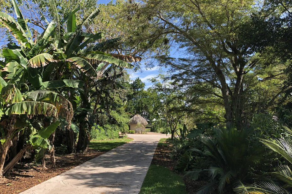 Grande variété d'arbres le long des allées