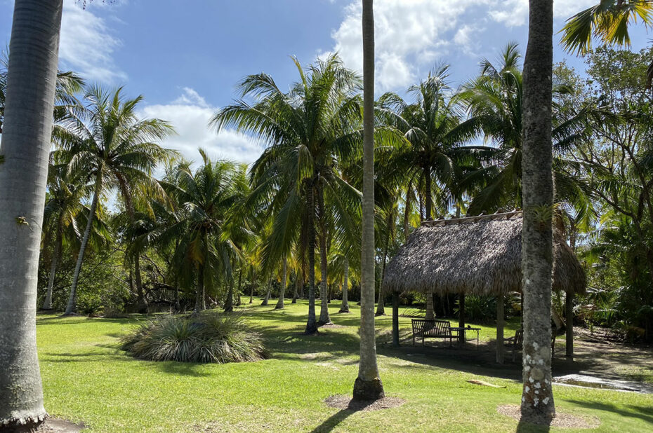 Petite hutte dans la palmeraie pour se reposer à l'abri du soleil