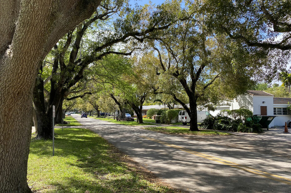 Promenade dans les rues arborées de Coral Gables