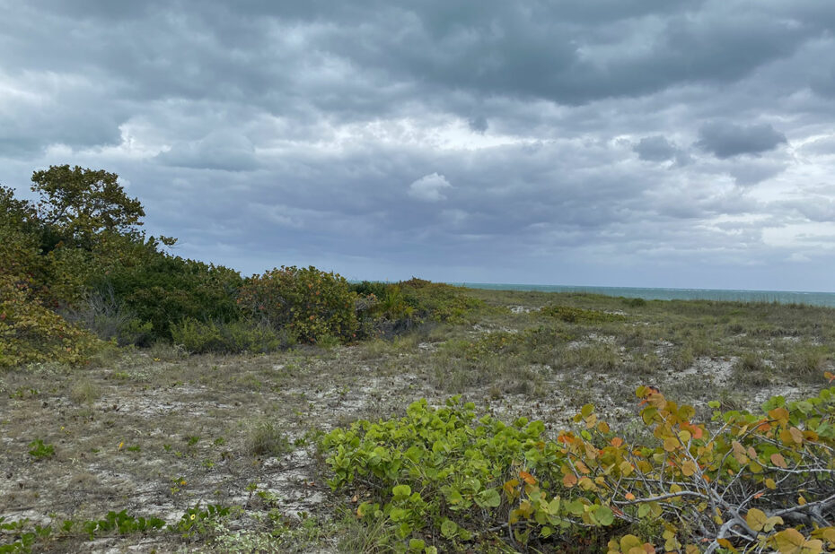 Espace protégé près de la plage de Cape Florida