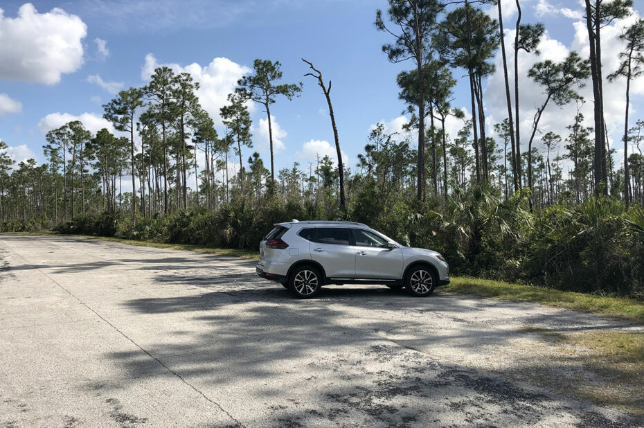 Parking dans le parc national des Everglades